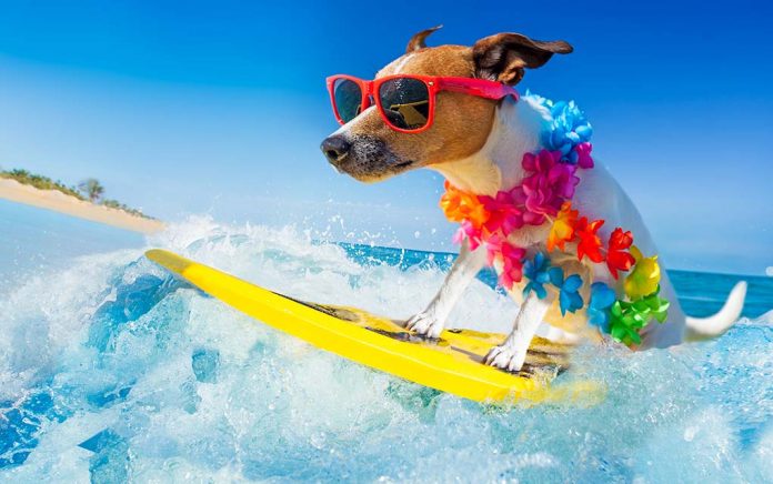 How To Have Fun Without Breaking The Bank How To Have Fun Without Breaking The Bank